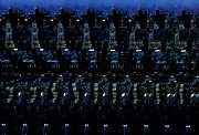 sardine.jpg