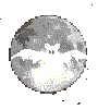 lalalalalala! je suis batman