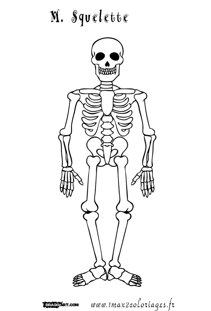 coloriage M. Squelette