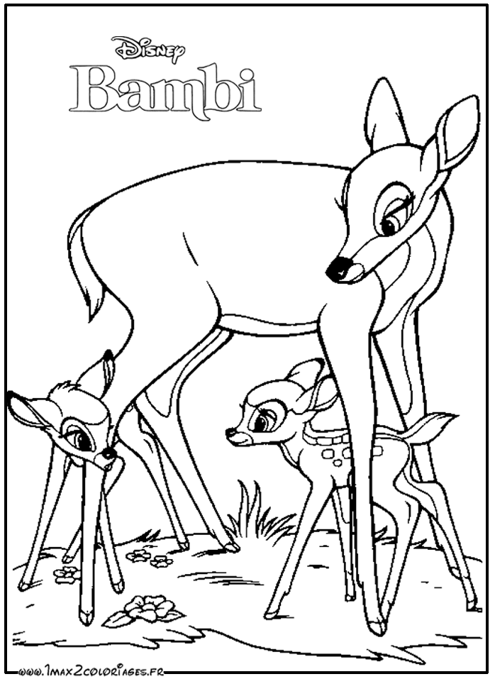 coloriages Bambi Féline et Maman