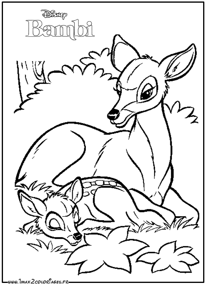 coloriages Bambi et sa Maman