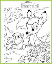 Bambi et Pan-Pan cache-cache