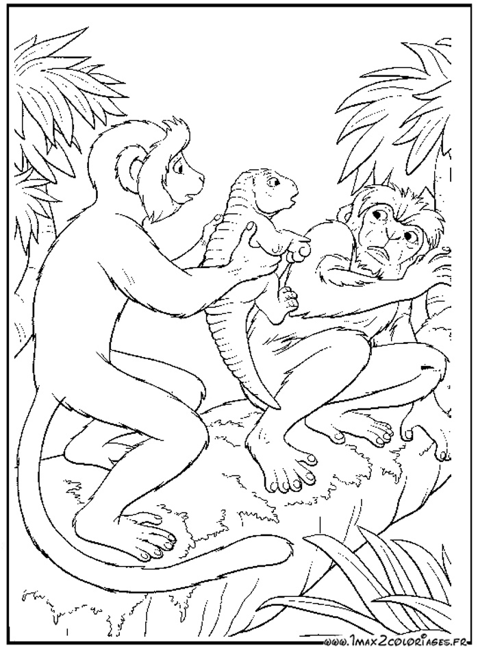 coloriage Dinosaure