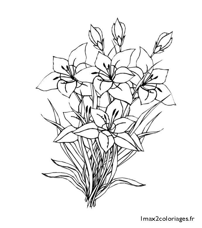 Coloriages De Fleurs A Imprimer Et A Colorier Des Marguerites Des Roses Des Tulipes Et Pleins D Autres