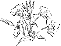 coloriage.gif