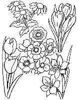 fleurs_des_champs.gif