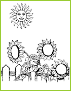 Les tournesols aiment le soleil