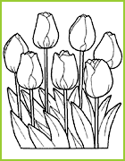 Tulipes à colorier