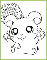 coloriages hamtaro