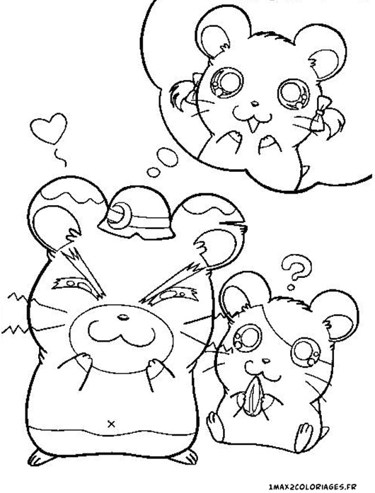 coloriage hamtaro Hamiral