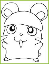 coloriages hamtaro