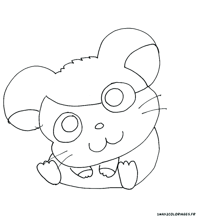 ham11 - Hamtaro Resimleri ham11