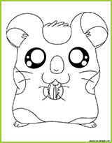 coloriages hamtaro