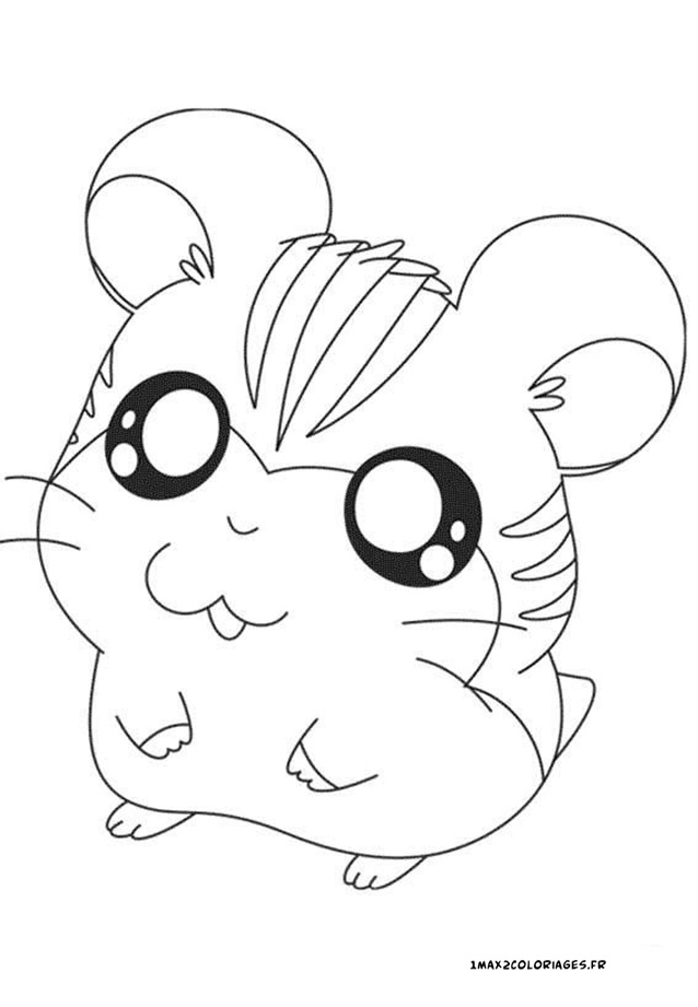 coloriage hamtaro Tigrette