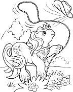 petitponey1.jpg
