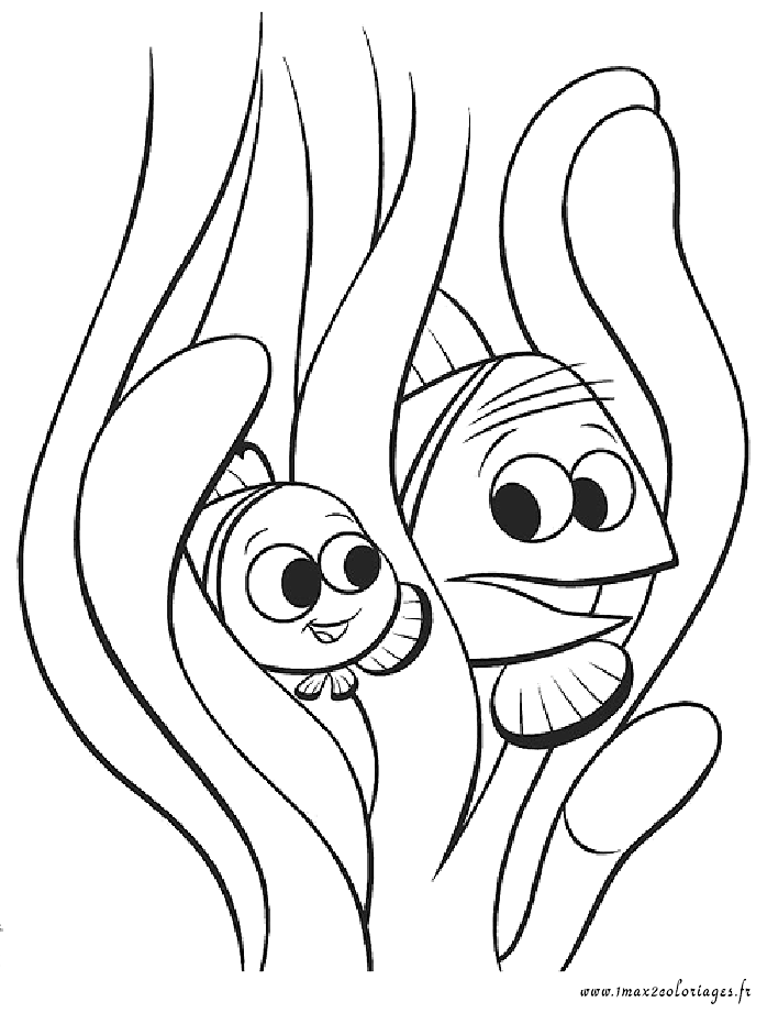 coloriage Nemo et Marin se cachent dans les coraux