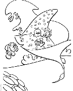 nemo12.bmp