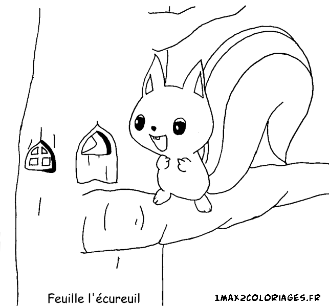 Feuille l'écureuil