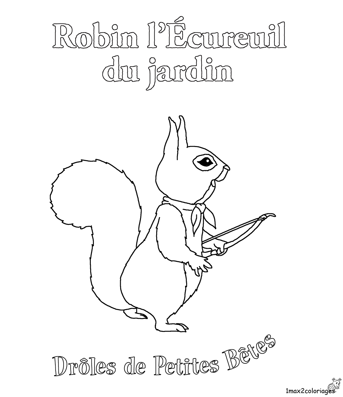 Robin l'écureuil du jardin