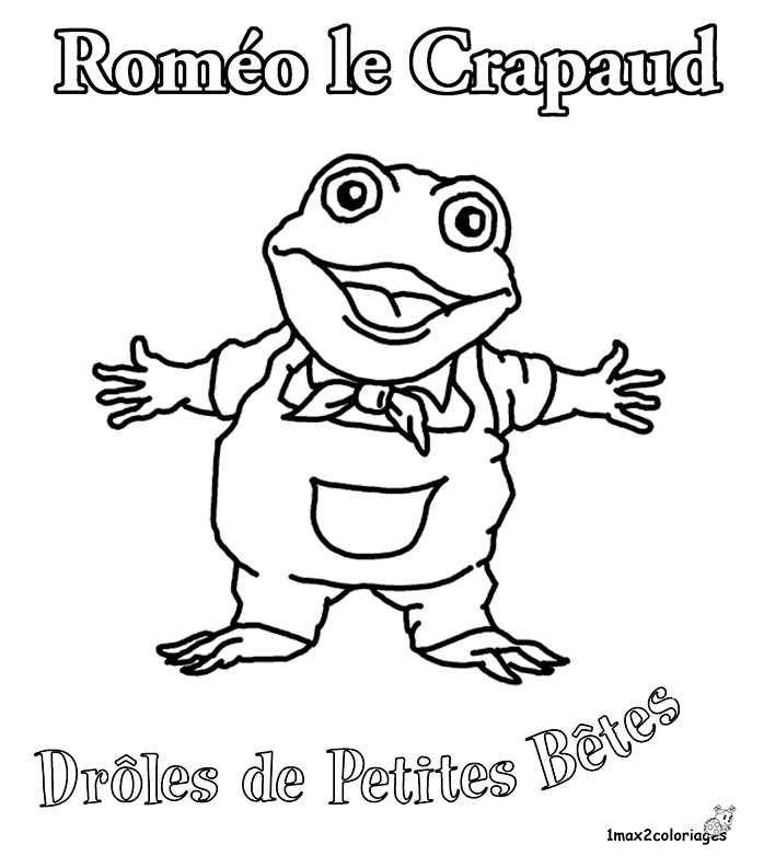 Roméo le crapaud