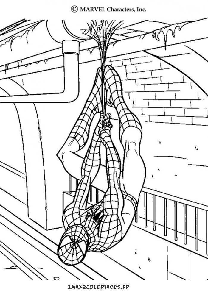 Spiderman à l'envers