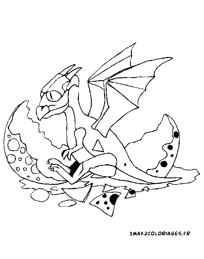 coloriage naissance dragon