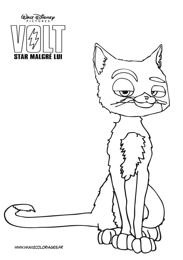 coloriage mitaine le chat