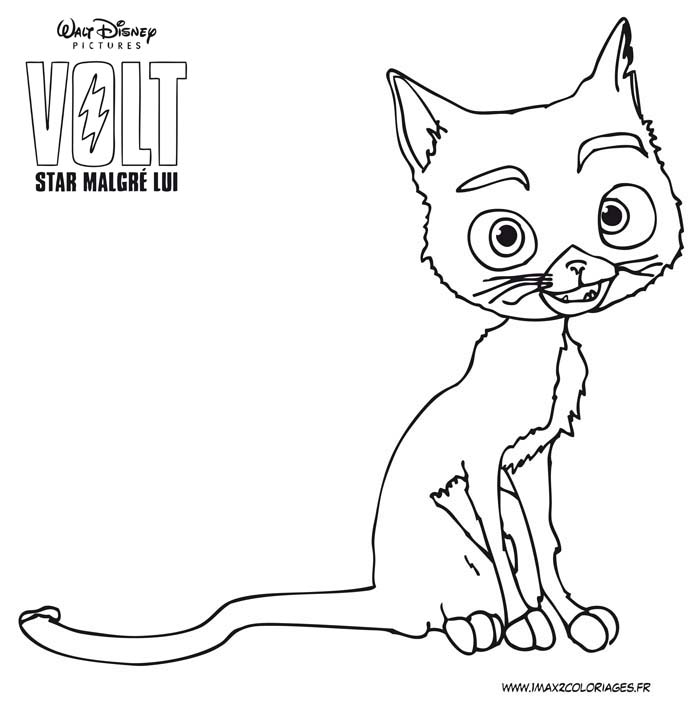 coloriage le chat mitaine