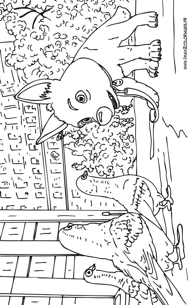 coloriage volt et les pigeons