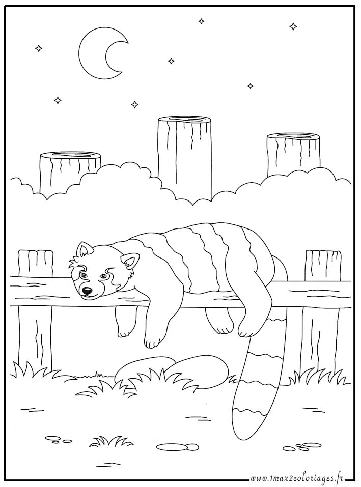 coloriage  Animaux au Zoo