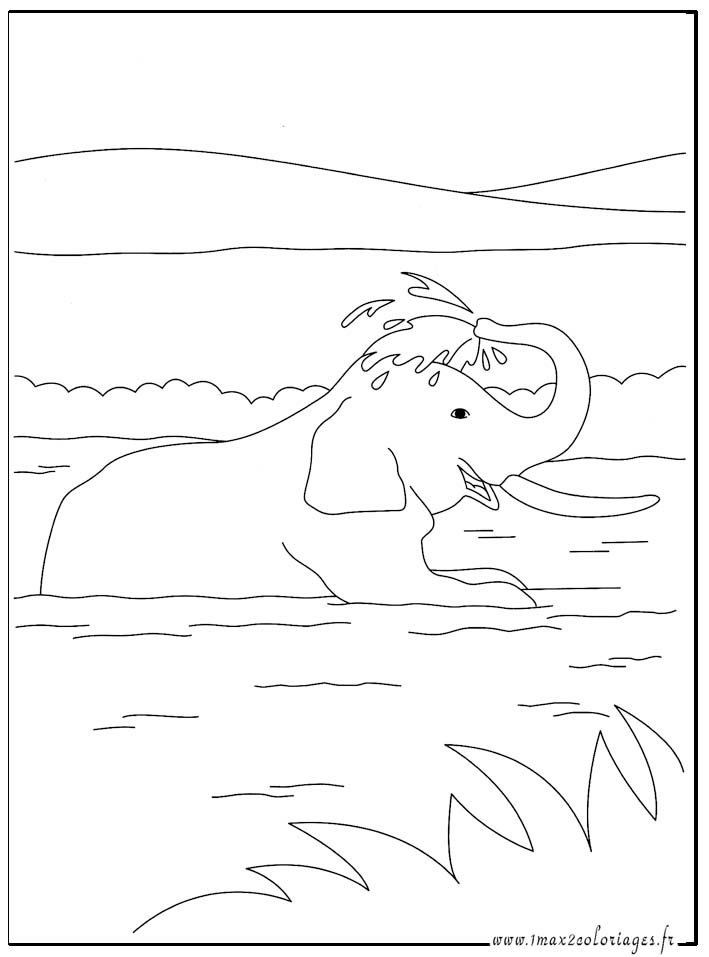 coloriage  Eléphant