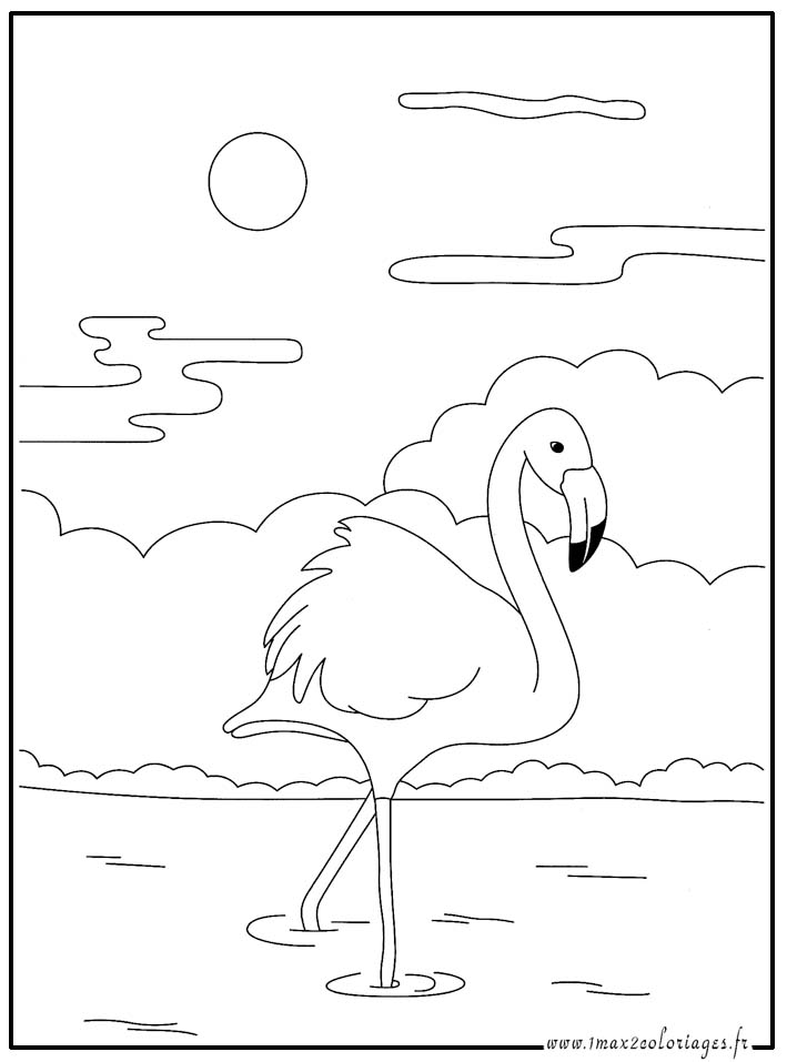 coloriage  Flamant Rose