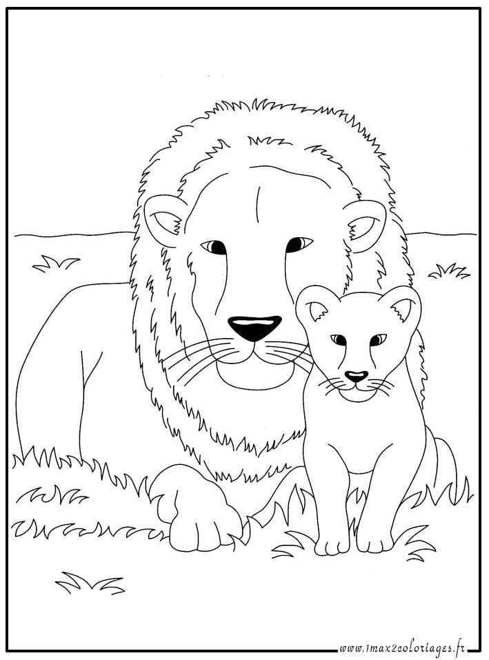 coloriage  Lion et lionceau