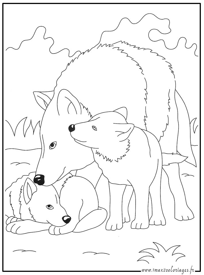coloriage  Loups