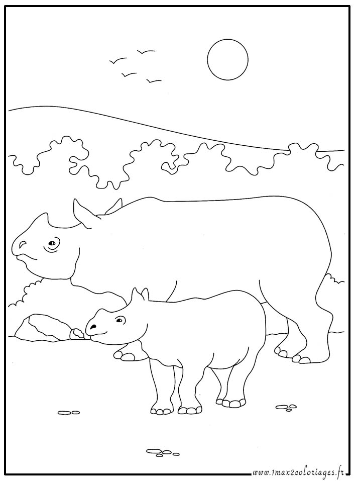 coloriage  Rhinocéros