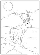 coloriage grand cerf