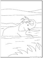 coloriage elephant