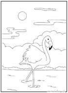 coloriage flamant rose