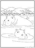 coloriage hippopotame