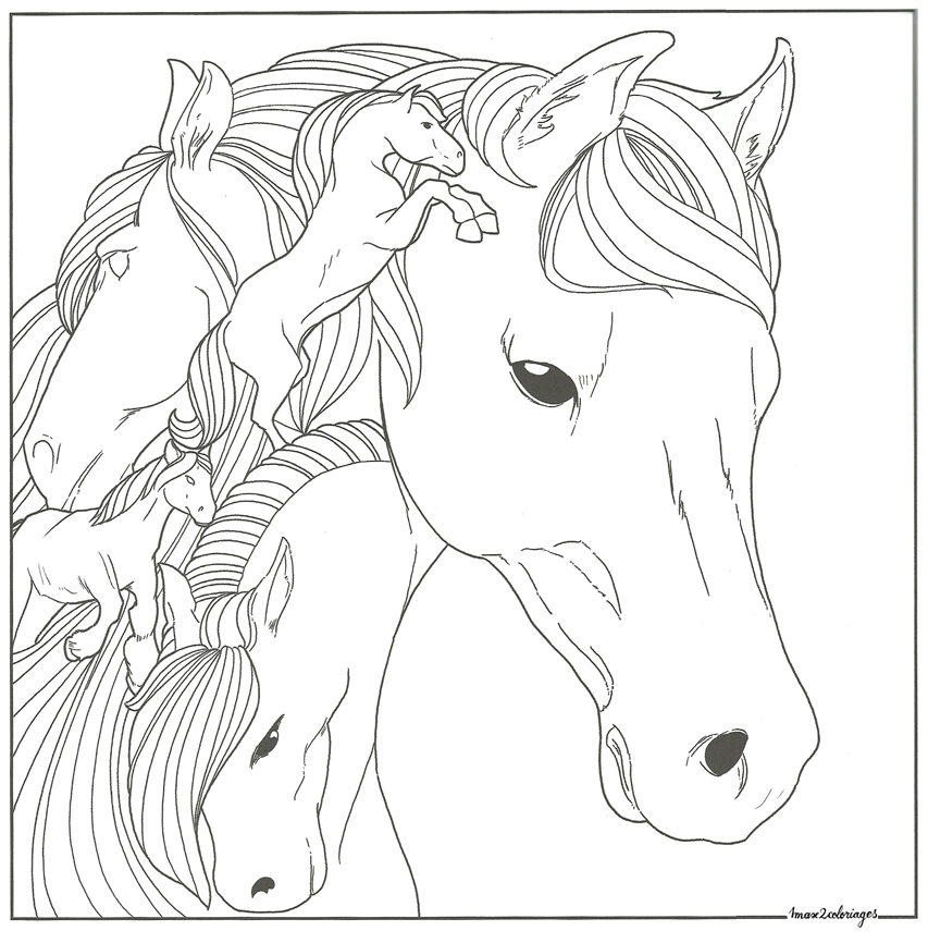 coloriage bestiaire chevaux