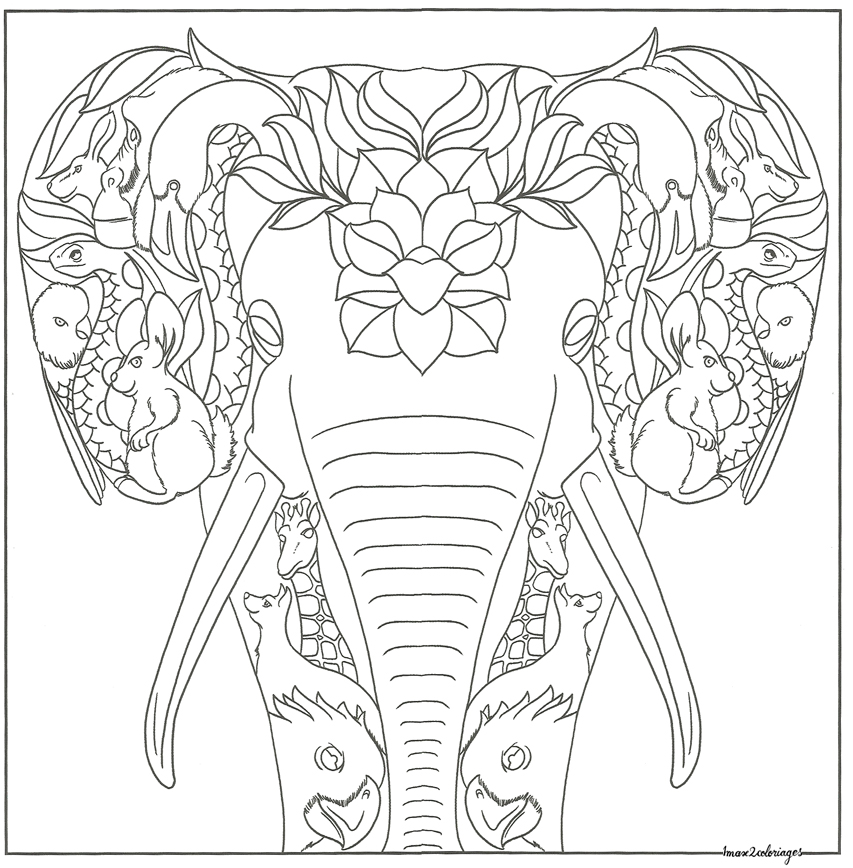 coloriage bestiaire éléphants