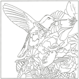 coloriage bestiaire les oiseaux