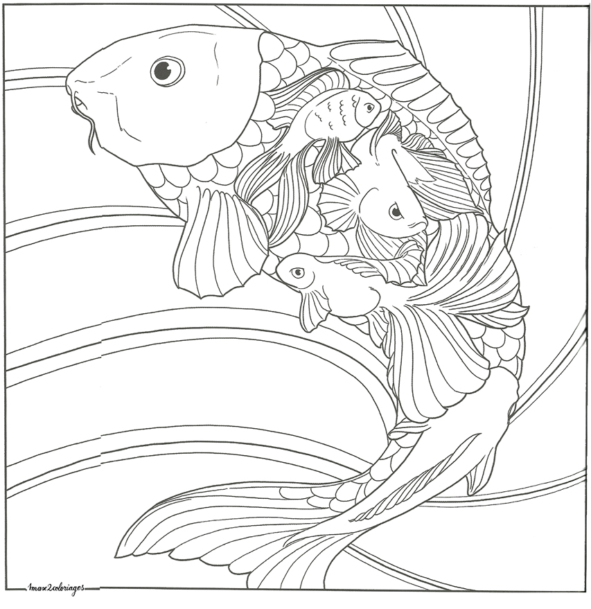 coloriage bestiaire poissons