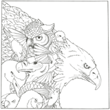 coloriage bestiaire les rapaces