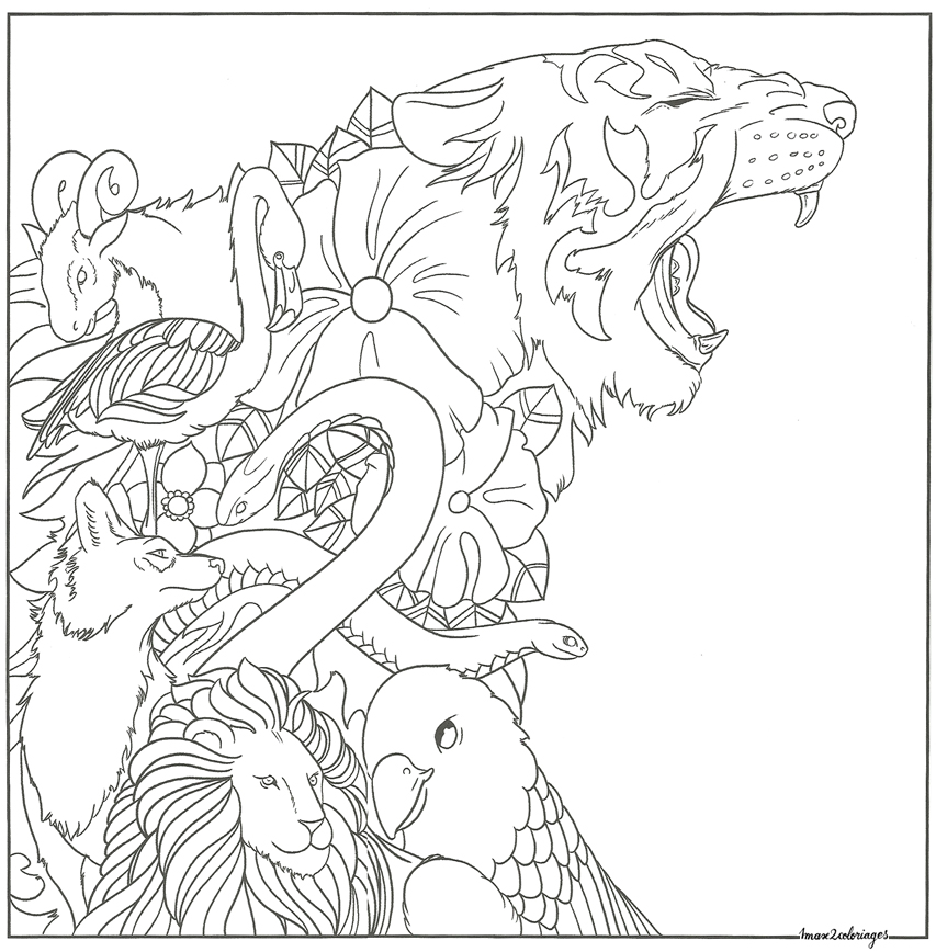 coloriage bestiaire tigres