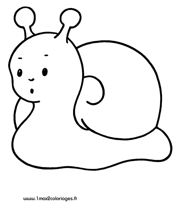 mes premiers coloriage Un escargot bien gentil