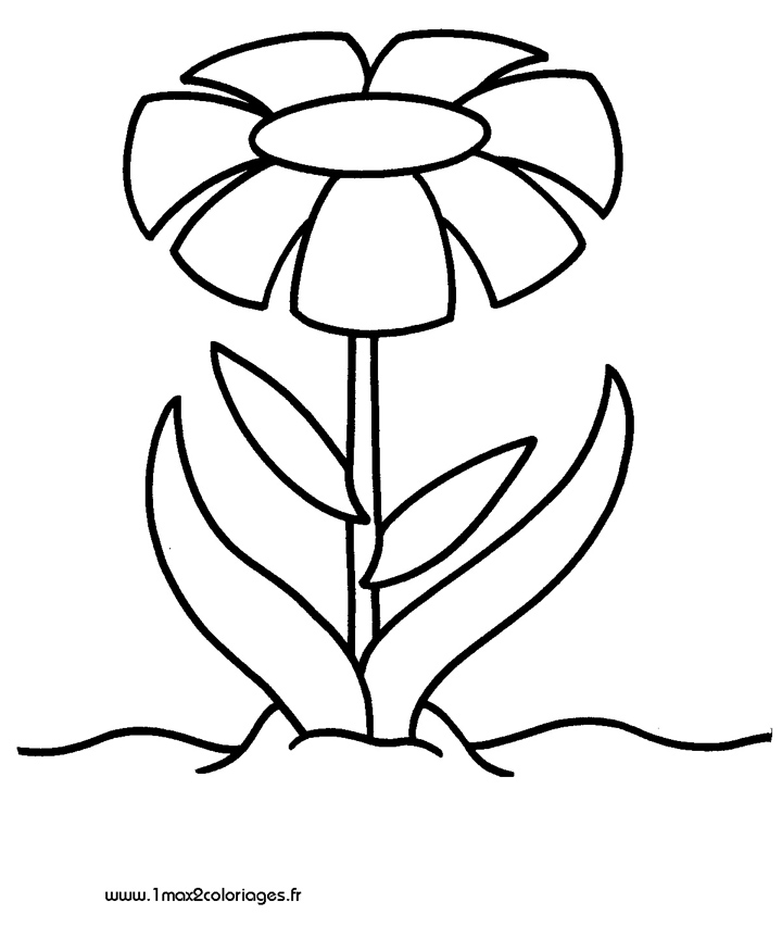 mes premiers coloriage jolie fleur