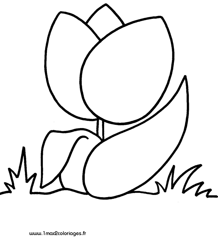 mes premiers coloriage tulipe