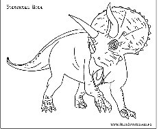 coloriage triceratops donosaure king
