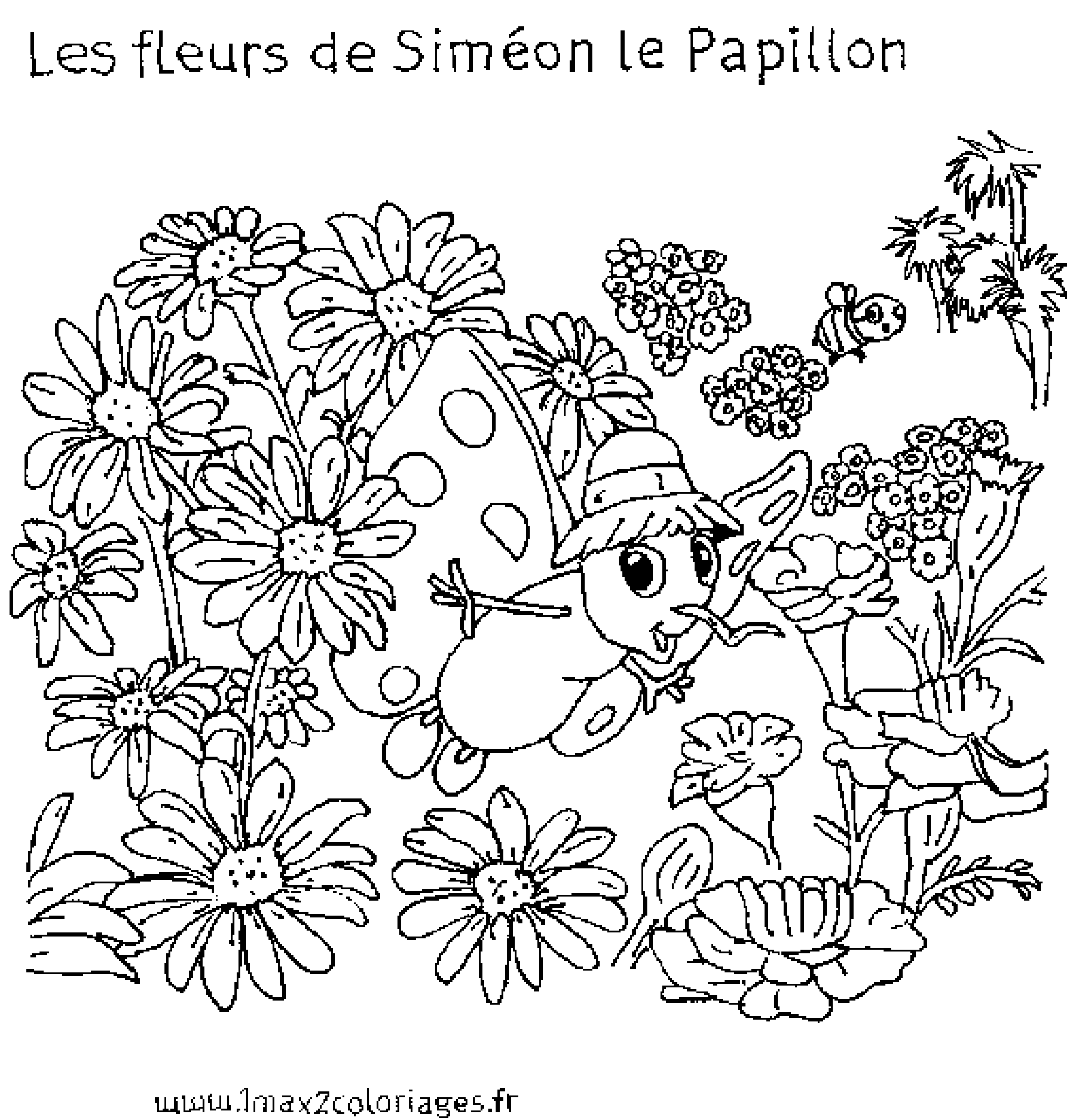 Les fleurs de Simeon